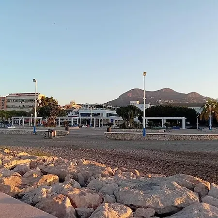 El Olivo Malaga